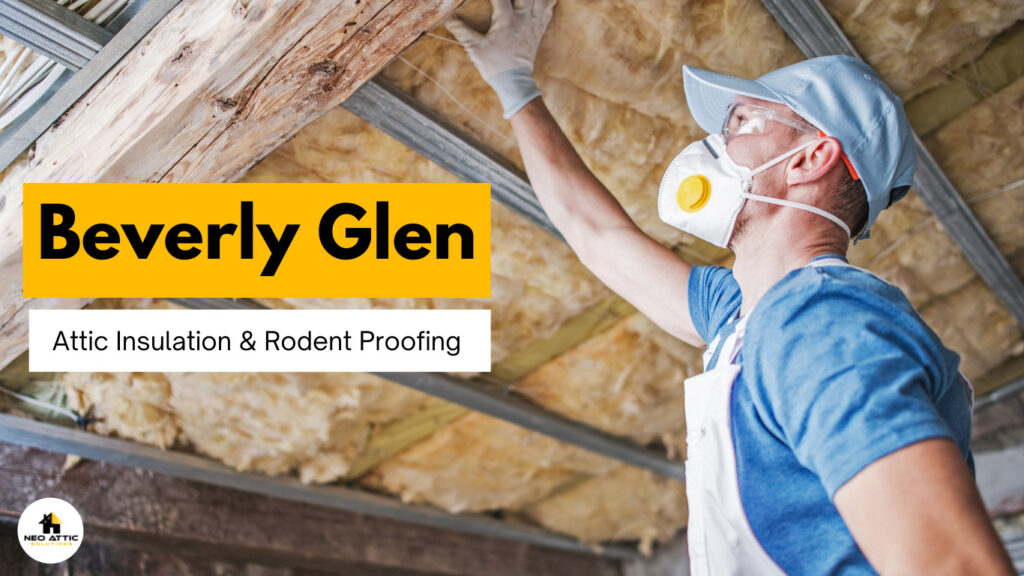Attic Insulation and Rodent Proofing in Beverly Glen