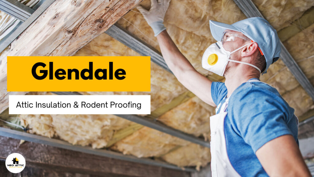 Attic Insulation and Rodent Proofing in Glendale